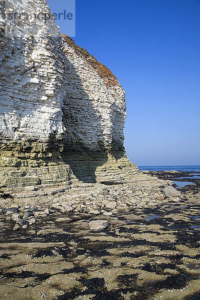 Küstenlandschaften bei Flamborough Head  Yorkshire  England