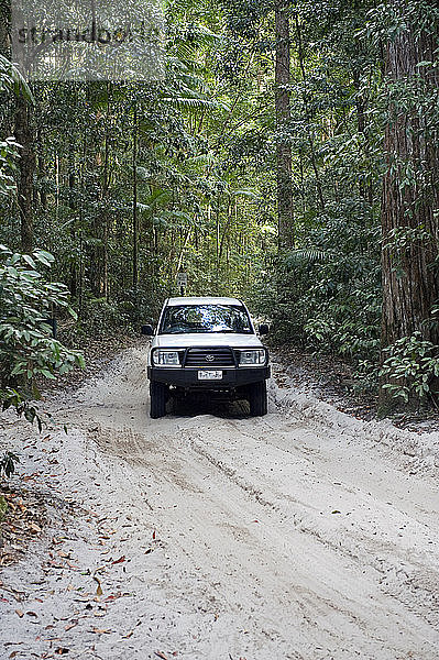 4Rad-Antriebsfahrzeug Regenwaldpiste  Fraser Island  Queensland  Australien
