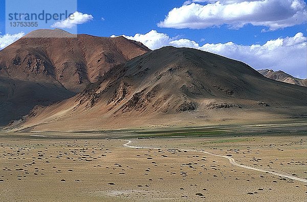 Chang Tang Hochland in Ladakh  Indien.