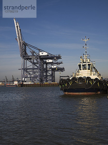 Containerkräne an der Kaikante  Hafen von Felixstowe  Suffolk  England