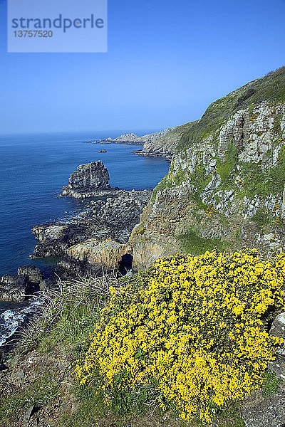 Les Autelets Stacks und dramatische Küstenlandschaft an der Westküste der Insel Sark  Kanalinseln  Großbritannien