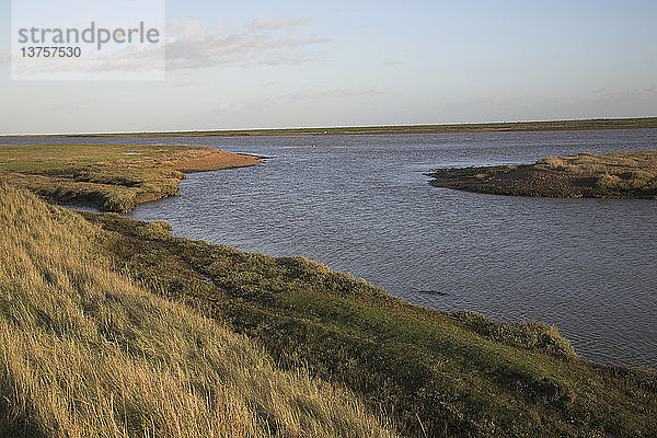 Sumpf  Schilf und Entwässerungsgräben des Flusses Ore  landeinwärts von Orford Ness  in der Nähe von Shingle Street  Hollesley  Suffolk  England