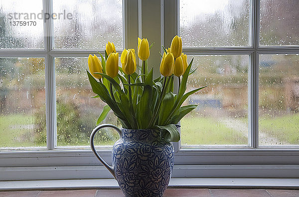 Vase mit gelben Tulpen am Fenster an einem regnerischen Tag