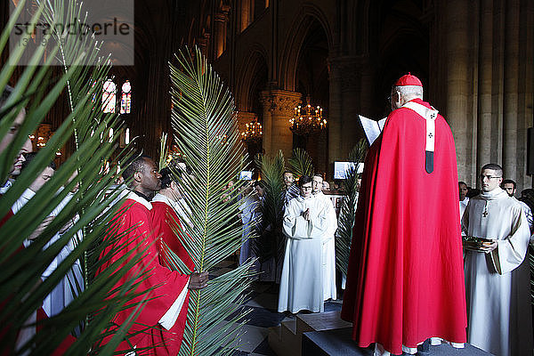 Palmsonntag in der Kathedrale Notre Dame  Paris