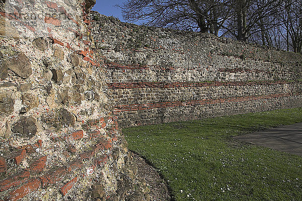 Römische Mauer  in der Nähe des Balkerne Gate  Colchester  Essex  England