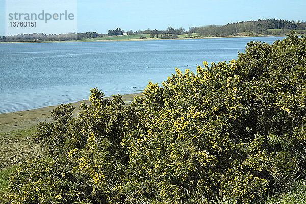 Blick stromaufwärts auf den Fluss Deben von Sutton  Suffolk  England