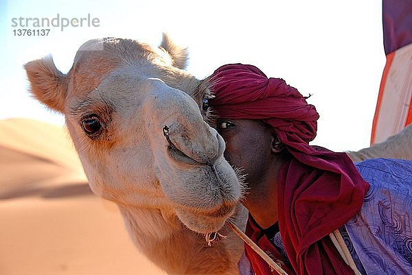 Tuareg und Dromedar  Sebha  Lybien.