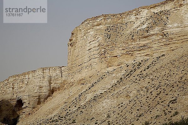 Ein Avdat Canyon  Negev-Wüste.