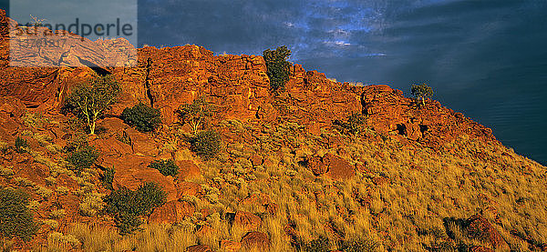 Steinland um die Trainor Hills Canning Stock Route  Little Sandy Desert  Westaustralien