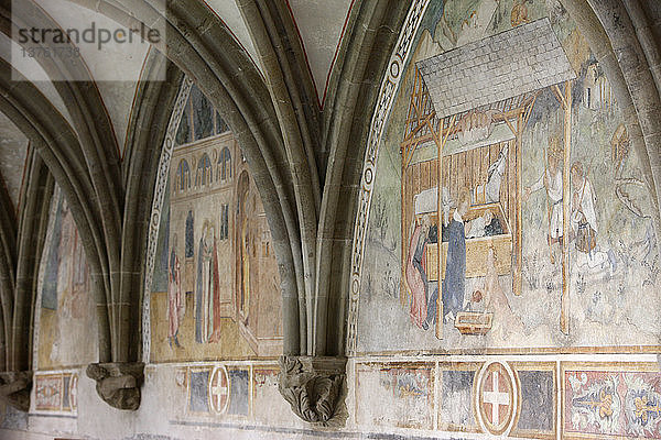 Fresken in der Abteikirche von Abondance  die das Leben von Maria darstellen