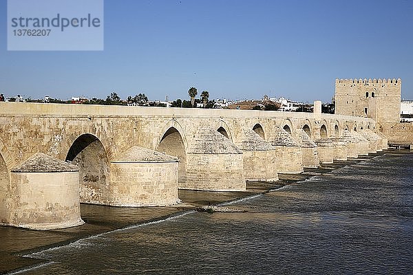 Römische Brücke in Cordoba  Andalusien.