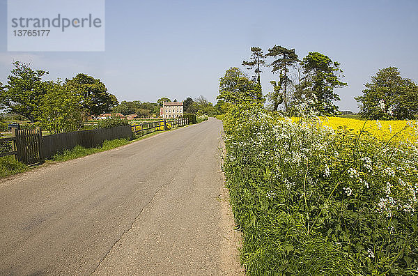 Ruhige Landstraße führt an Randstreifen und Feldern vorbei  Bawdsey  Suffolk  England