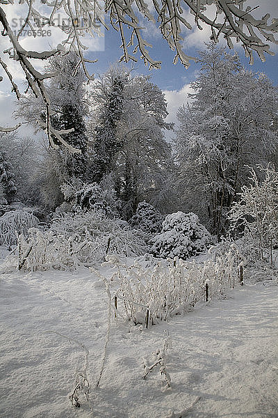 Weißer Winter Schnee Landschaft Landschaft
