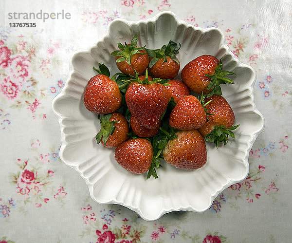 Blick auf weiße Schale frische Erdbeeren auf Blumentischdecke