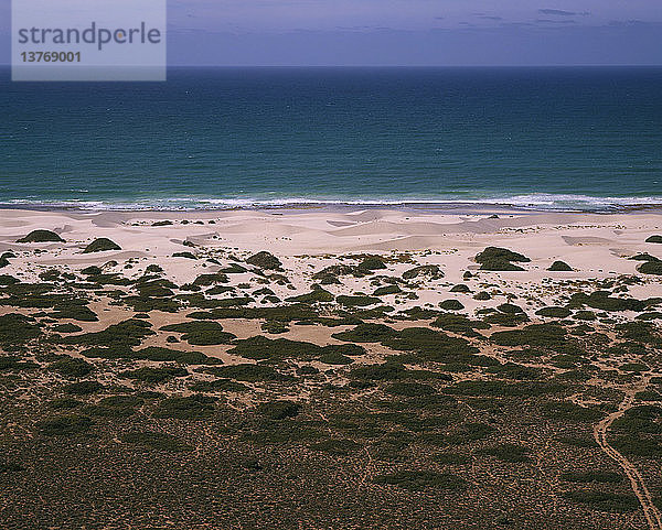 Dünen und die Große Australische Bucht Nullarbor National Park  South Australia