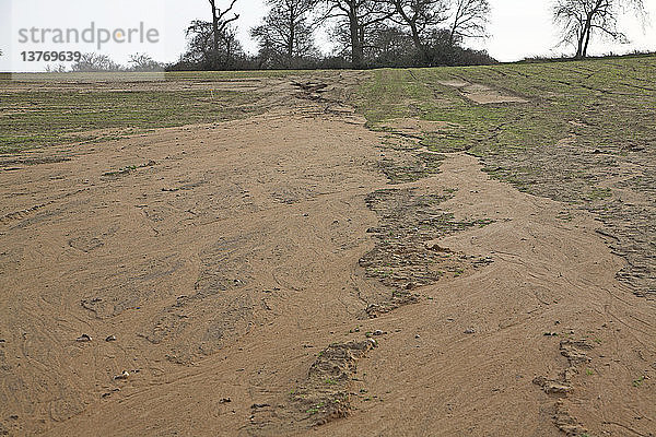 Bodenerosion in sandigem Boden durch Abfluss auf einem bergab gepflügten Feld  Butley  Suffolk  England