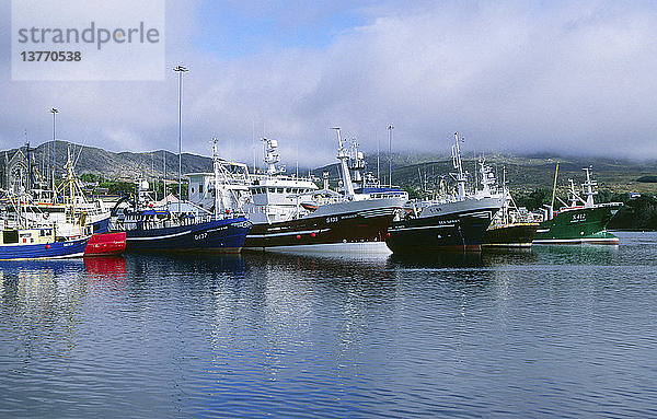 Fischerboote in Castletownbere  Grafschaft Cork  Irland