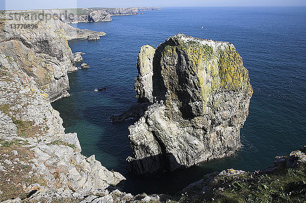 Stack Rocks  Castlemartin Nationalpark Pembrokeshire-Küste  Wales