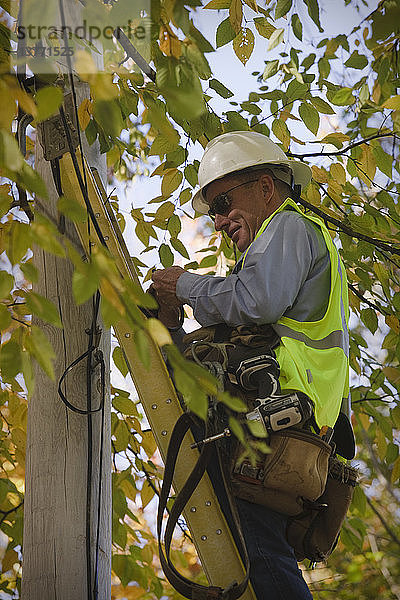 Ingenieur bei der Installation von Geräten an einem Strommast