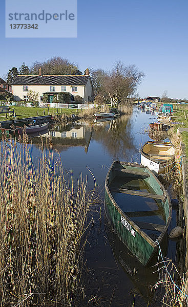 Landschaft der Norfolk Broads in West Somerton  Norfolk  England