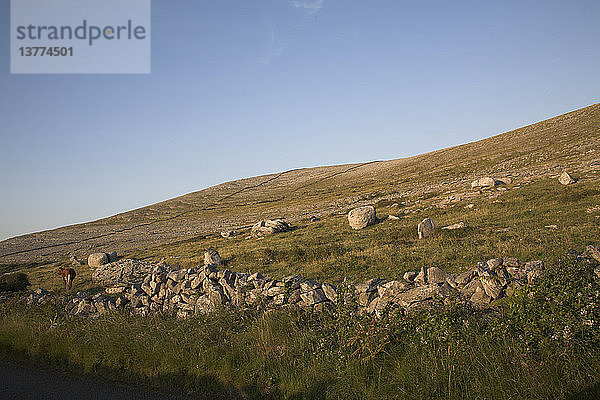 Ländliche Landschaft des Burren  Fanore  Grafschaft Clare  Irland