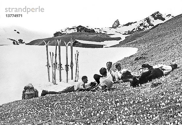 Arosa  Schweiz: um 1930 Skifahren im Frühling in Graubünden in der Schweiz hat den Nebeneffekt  dass man sich in der Krokusblüte entspannen kann.