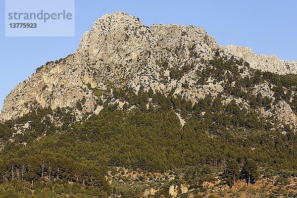 Gebirge Serra de Tramuntana  Mallorca.