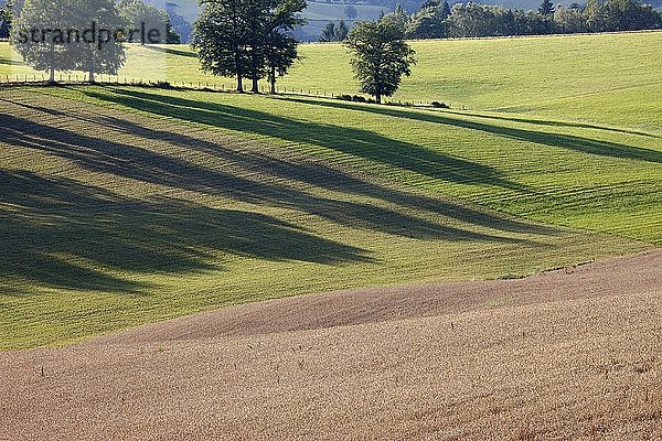 Landschaft im Cantal  Frankreich.