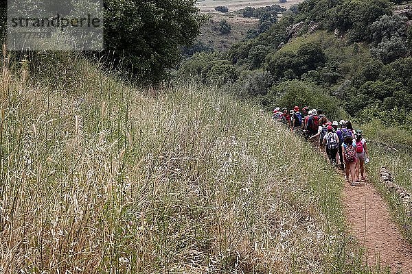 Pilgerfahrt im Heiligen Land  Wanderung auf den Golanhöhen.