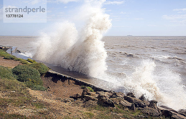 Wellen mit hoher Energie erodieren den Deich  Bawdsey  Suffolk  England