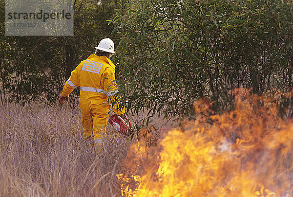 Kontrolliertes Abbrennen eines kühlen Winterbrandes zur Verringerung der Brandgefahr im folgenden Sommer  Darling Downs  Queensland  Australien