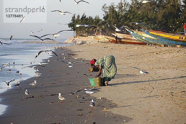 Frau wäscht Fisch  Kafountine  Senegal.