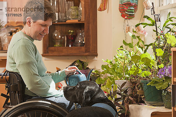 Frau mit Multipler Sklerose im Rollstuhl gießt Zimmerpflanzen  während ein Diensthund sie beobachtet