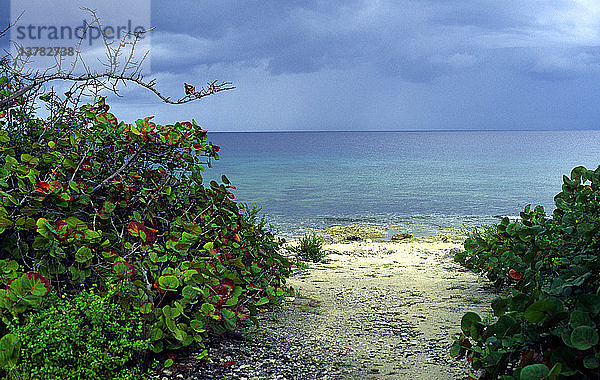 Ruhiger Strand  Cayman Brac  Kaimaninseln  Britisch-Westindien