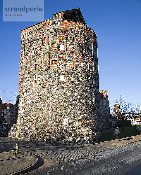 Alte mittelalterliche Stadtmauer und Turm  Great Yarmouth  Norfolk  England