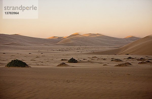 Wüstenlandschaft