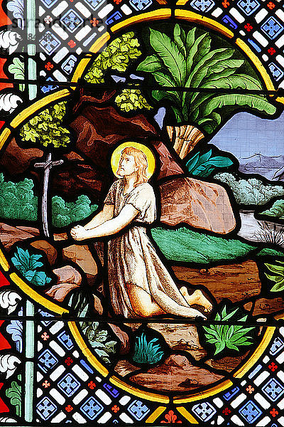 Kathedrale Saint-Corentin  Quimper Glasmalerei  Johannes der Täufer in der Wüste