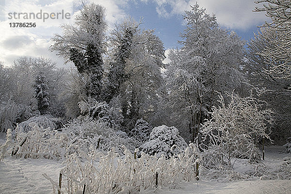 Weißer Winter Schnee Landschaft Landschaft