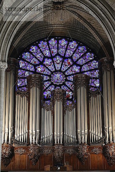 Orgel  Kathedrale Notre-Dame de Paris.