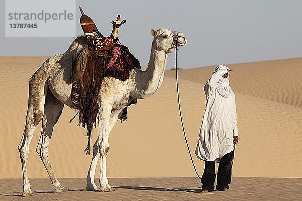 Kameltreiber beim Blick in die Wüste Sahara  Douz  Tunesien.