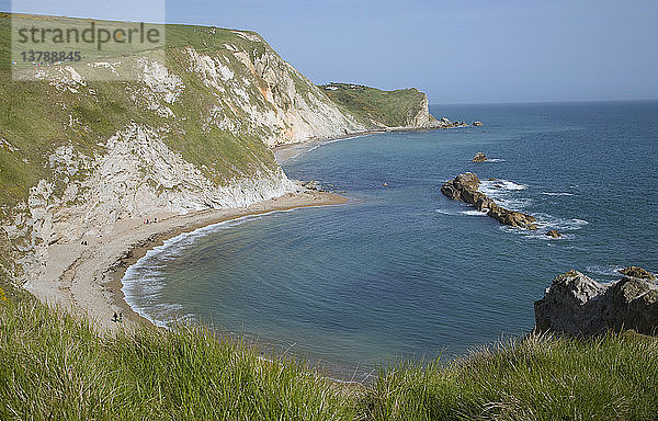 Eine Reihe von Kalksteinstümpfen durchquert die Man O War Bay an der Juraküste in der Nähe von Lulworth Cove  Dorset  England