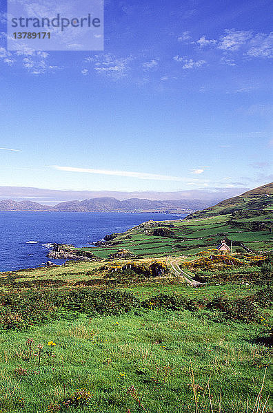 Küstenlandschaft und Streusiedlung Dursey Head  Halbinsel Beara  Grafschaft Cork  Irland