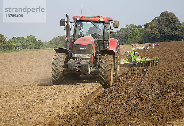 Traktor beim Eggen des Bodens auf einem Feld als Vorbereitung für die Bepflanzung  Shottisham  Suffolk  England