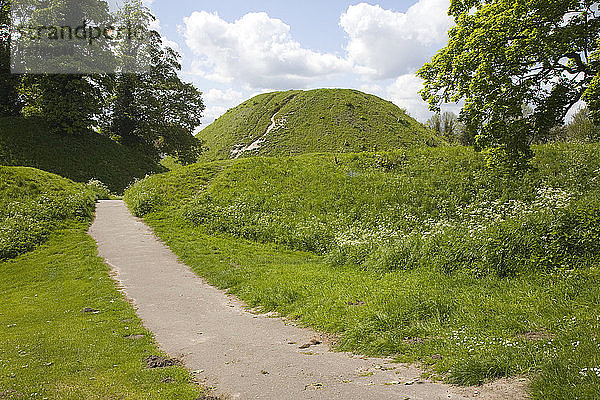 Thetford mound  eine mittelalterliche Motte und Bailey Burg  Thetford  Norfolk  England