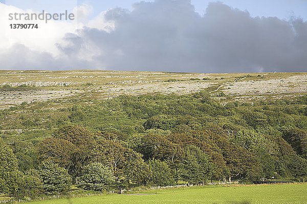 Blick auf den felsigen Steilhang des kohlensäurehaltigen Kalkstein-Hochgebirgsgebiets des Burren in der Nähe von Ballyvaughan  Grafschaft Clare  Irland