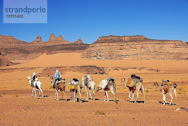 Tuareg-Karawane  Sebha  Lybien.