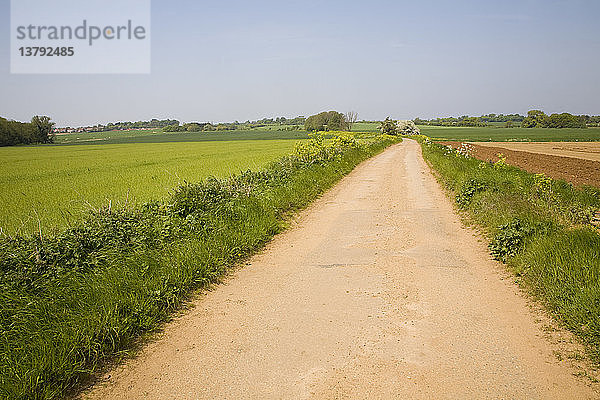 Straße und Getreidefelder  Suffolk  England