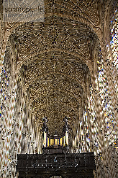 Innenraum der Kapelle des King´s College mit Fächergewölbe  Universität Cambridge  Cambridgeshire  England