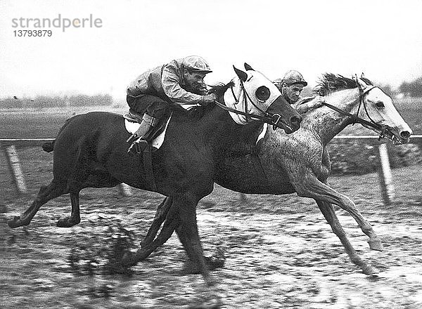 Los Angeles  Kalifornien: 6. November 1941 Wildebeest (L) und Blueberry Pie rennen dicht beieinander auf der Strecke eines Pferderennens...