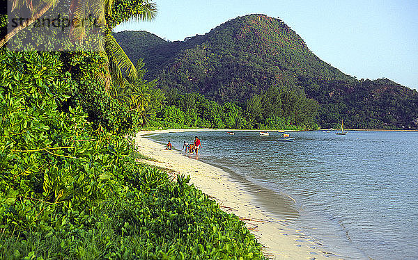 Strand Grand Anse  Insel Praslin  Seychellen